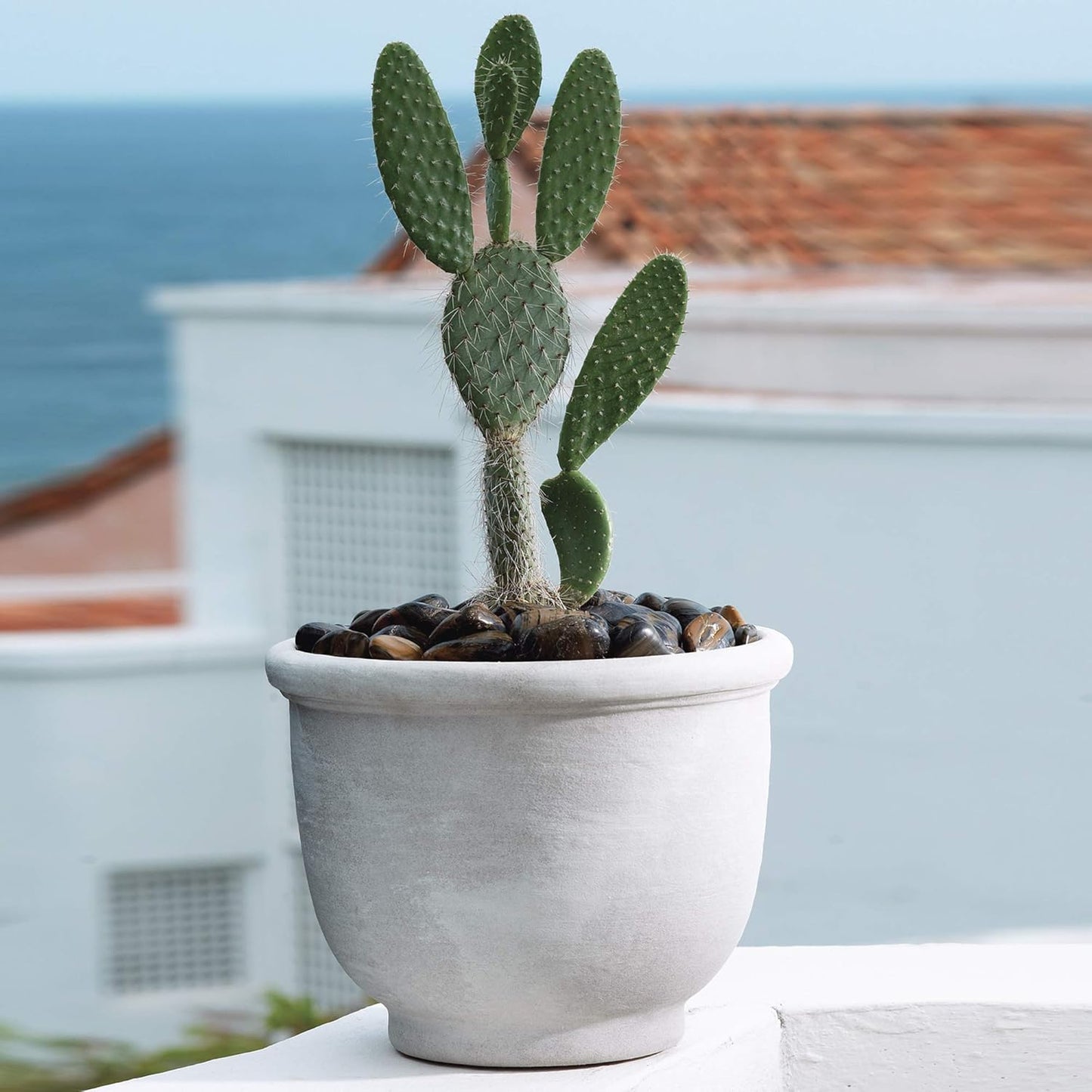 Crescent Garden Agave Planter, Charming Old-World Plant Pot, 18-Inch (Parchment)