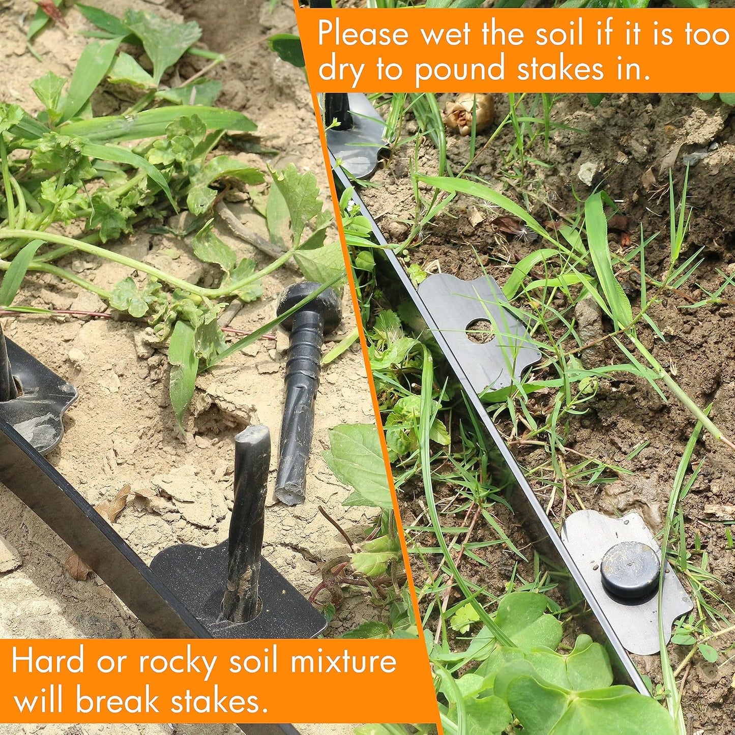 Gardzen 1.5" x 80' Landscape Edging Kit, Garden Edging Coil Comes with 100 Pcs Spikes, No Dig Lawn Border Design