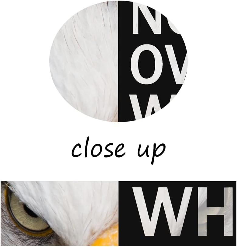 Eagle Inspirational Canvas Wall Art Animal Motivational Print Poster Animal Picture Painting Modern Affirmative Inspiring Artwork for Home Living Room Office Decor Ready to Hang [24''W x 36''H]