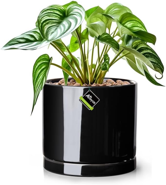 Aveyas 8 inch Ceramic Plant Pot with Drainage Hole and Saucer - Suitable for Indoor and Outdoor Use, Modern Planters for House Garden Flower Tree Snake Monstera Plants (8", Glossy Black)