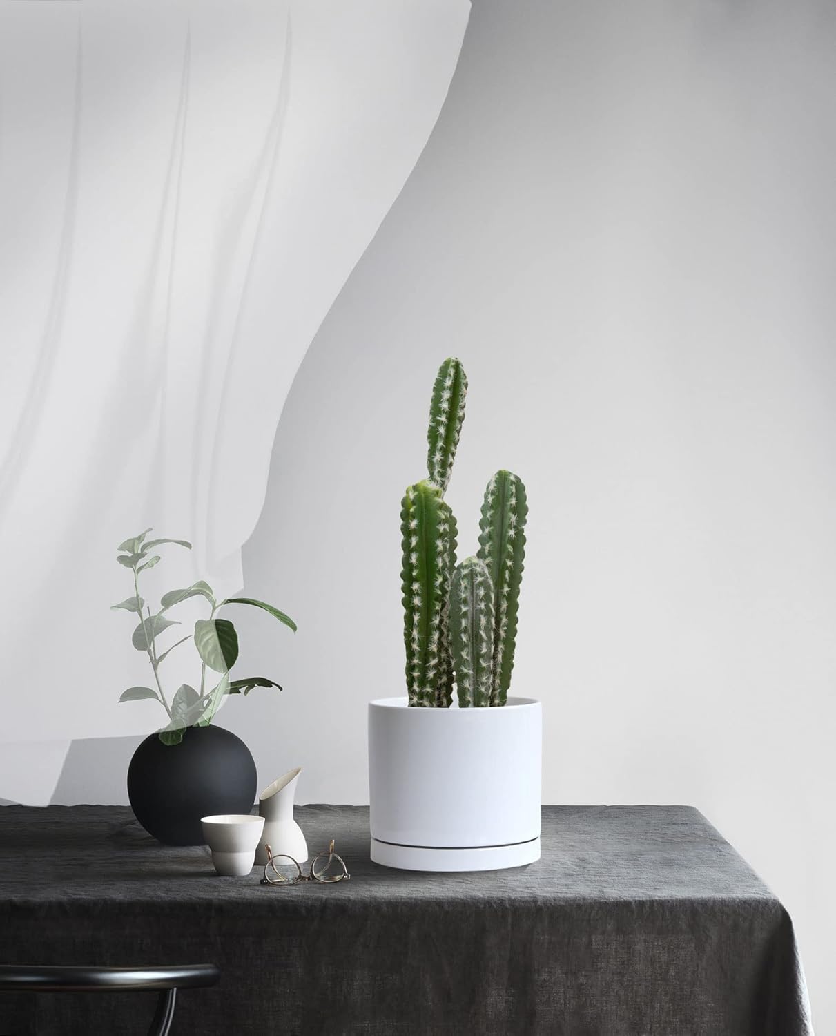 Aveyas 8 inch Ceramic Plant Pot with Drainage Hole and Saucer - Suitable for Indoor and Outdoor Use, Modern Planters for House Garden Flower Tree Snake Monstera Plants (8", Glossy White)