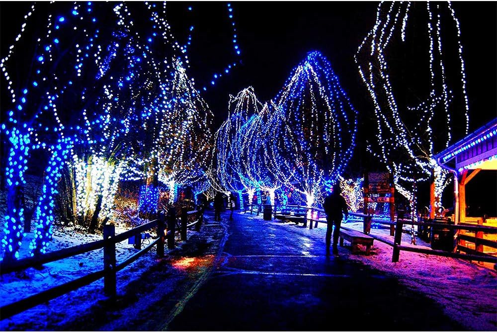 33FT 100 LEDs String Lights Waterproof Fairy Lights 8 Modes with Memory 30V UL Certified Power Supply for Home, Garden, Wedding, Party, Christmas Decoration Indoor Outdoor (Cool White+Blue)