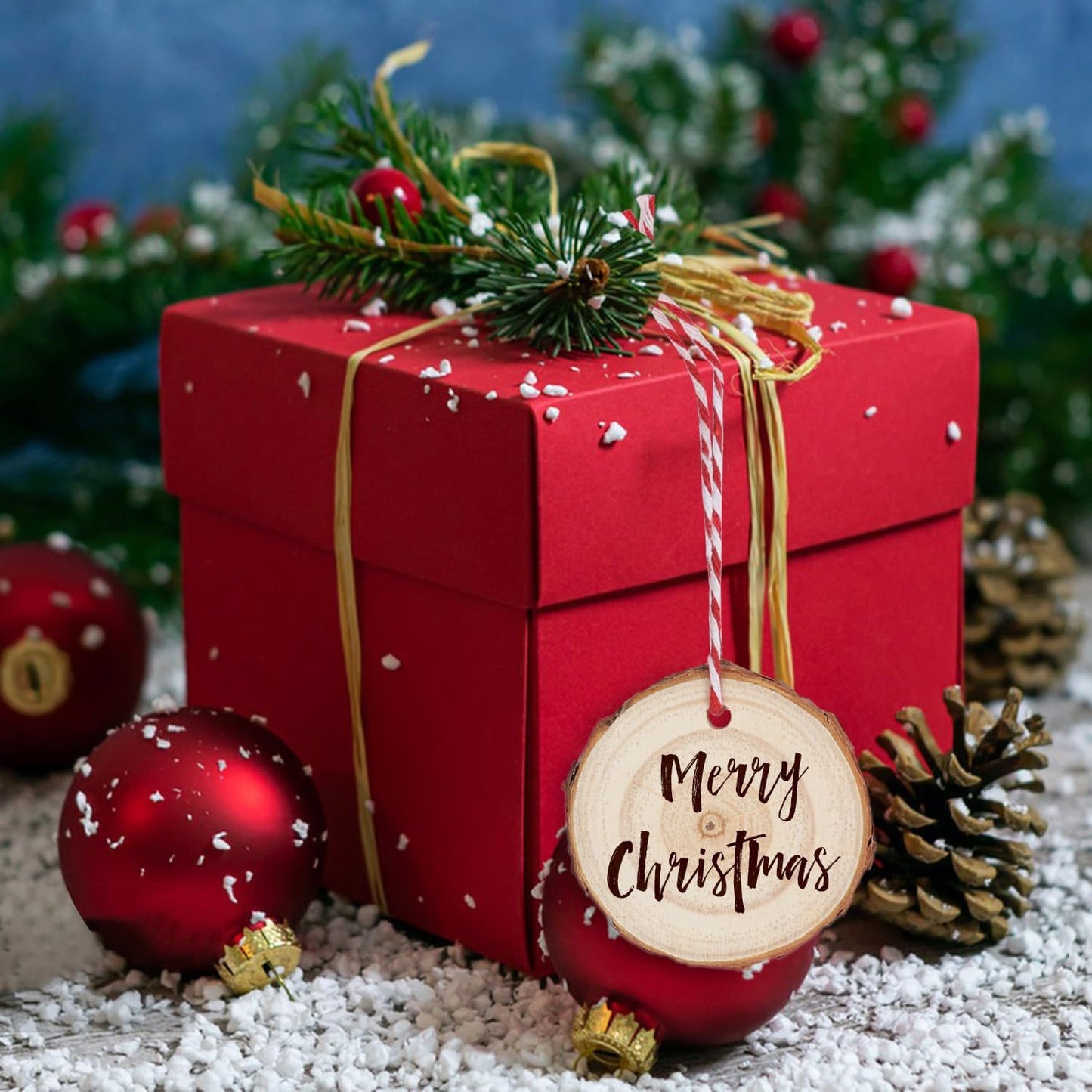 70 PCS 3 Inch Unfinished Wood Slices Hole Wood, Natural Wood Slices, Predrilled with Hole Wood Slice for DIY Arts Craft Christmas Ornaments by GNIEMCKIN