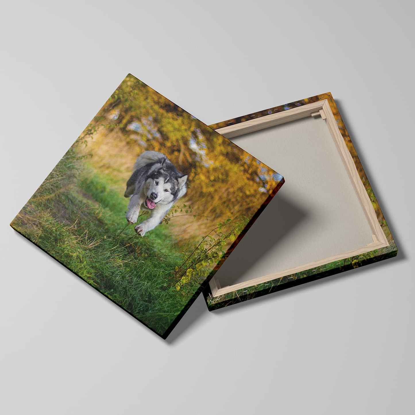 Framed Canvas Prints With Your Photo - Personalized Picture To Canvas Wall Art - Paper Poster Available