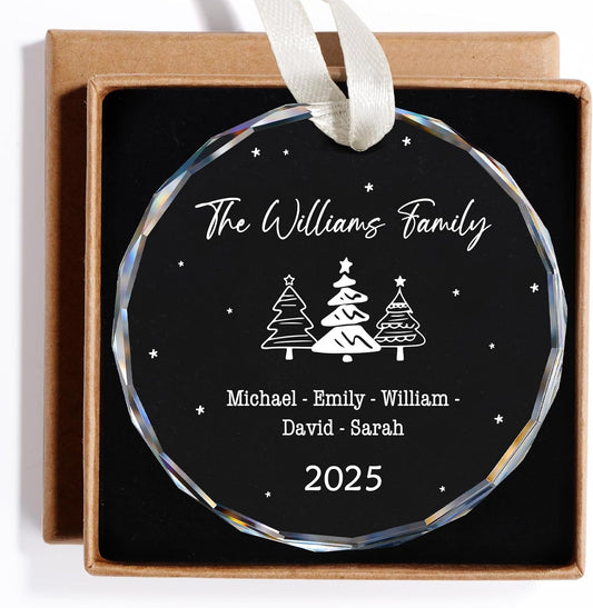 Family Christmas Ornaments 2025 Personalized, Family Ornaments with Custom Name, Tree Decorations, Customized