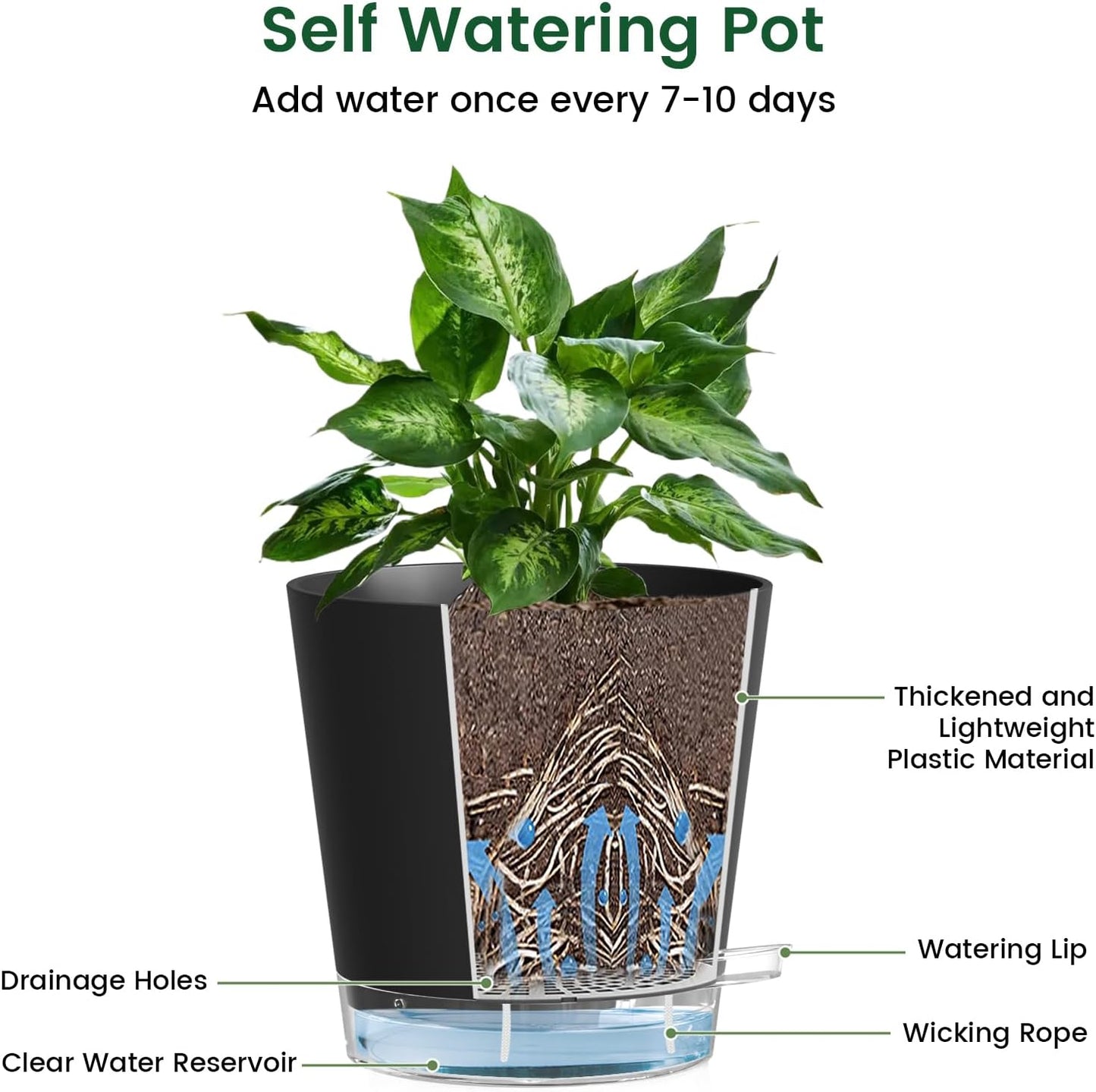 6 inch Self Watering Pots for Indoor Outdoor Plants, 3 Pack Flower Plant Pots with Drainage Holes and Clear Reservoirs, Visible Water Level, Plastic Planters with Wicking Rope, Black