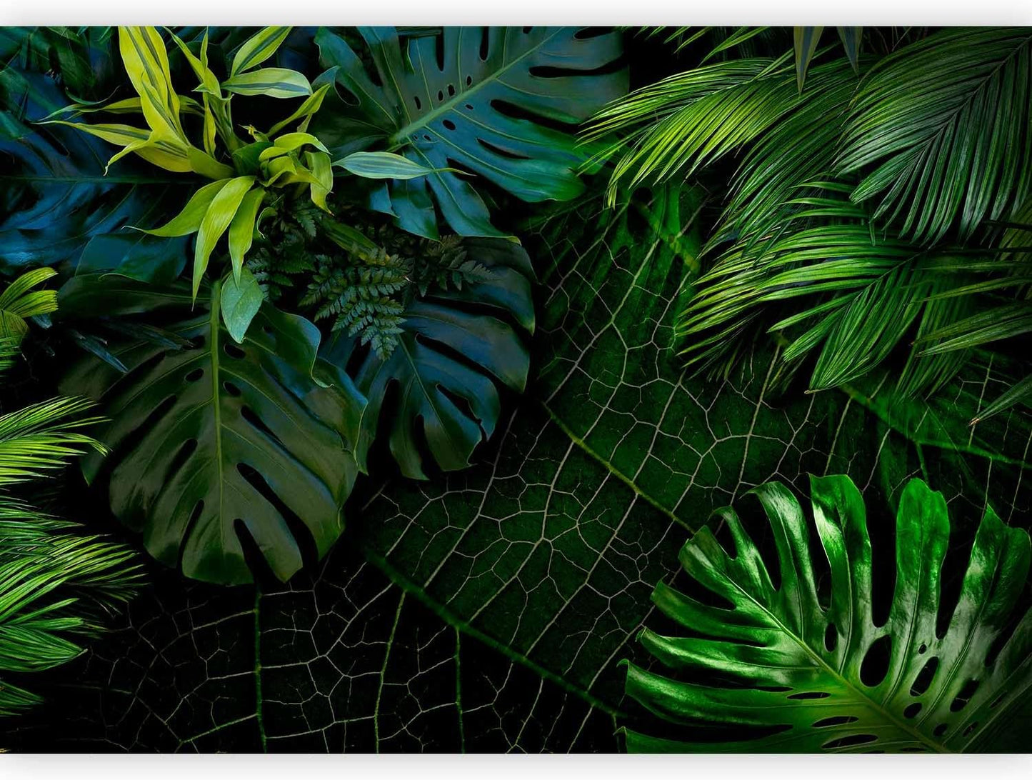 artgeist Premium Wall Mural Tropical 118x83 in - XXL Non-Woven Wallpaper Fleece Wall Decor Photo Print Picture Image Design Home b-C-0224-a-a
