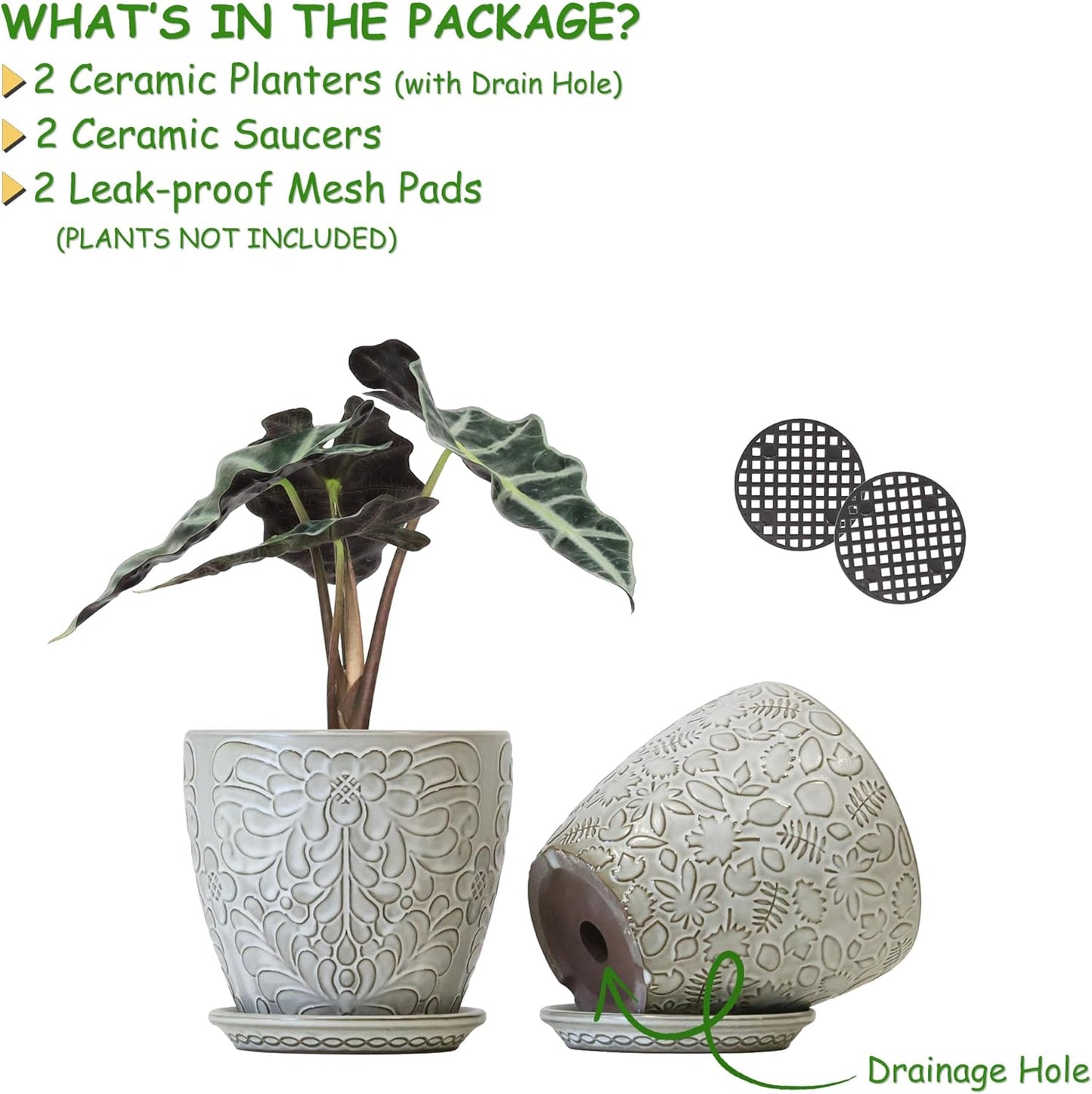 6 Inch Ceramic Planter Pots with Drainage Hole and Saucers for Indoor Plants, Garden Pots for Succulent, Orchid, and Flower - Set of 2