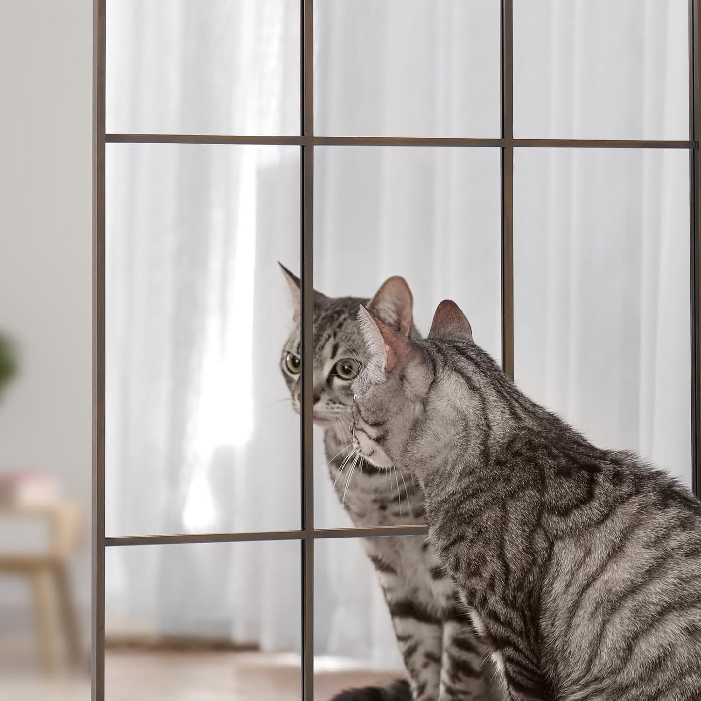 Windowpane Mirror Full Length 65"x24" Wall Mounted Bronze Art Pane Mirror Farmhouse Decorative Floor Mirror Leaning Hanging Wall Mirror for Bedroom Living Room Entrance