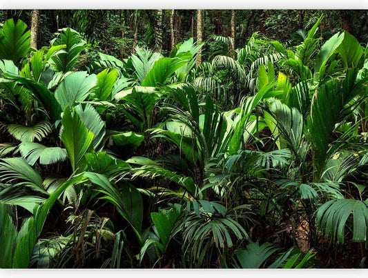 artgeist Premium Wall Mural Nature 177x124 in - XXL Non-Woven Wallpaper Fleece Wall Decor Photo Print Picture Image Design Botanical Plants Jungle Leaves b-B-0594-a-a