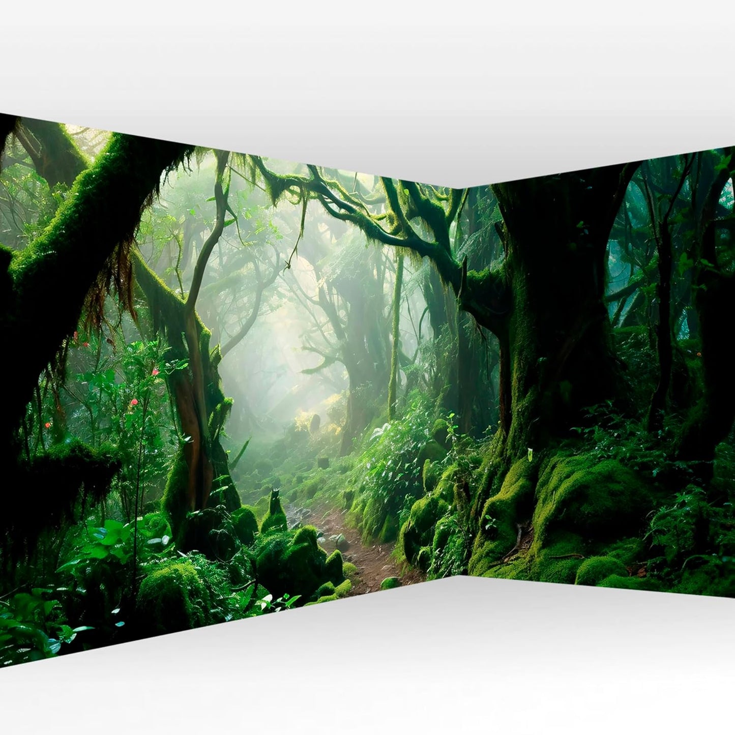 artgeist Wall Mural Forest 216x98 in - XXL Non-Woven Corner Wallpaper Fleece Angle Wall Decor Photo Print Picture Trees Forest Moss Mystery c-B-10183-a-a