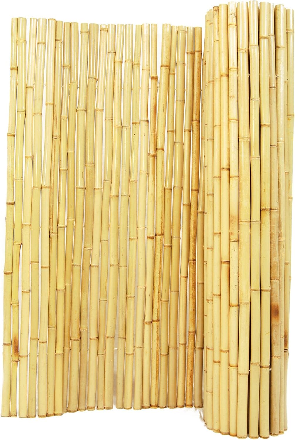 Backyard X-Scapes Natural Rolled Bamboo Fence 1in D x 6ft H x 8ft L