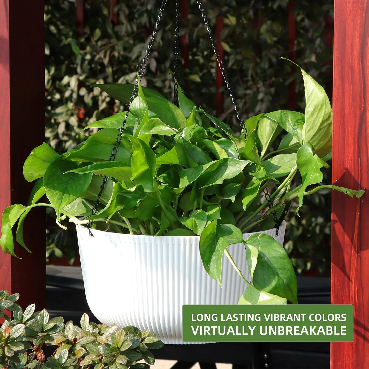 Dexceder 9.8 Inch Self Watering Hanging Planters Indoor Outdoor, Thickened Hanging Basket Flower Plant Pot (2 Pack, White)