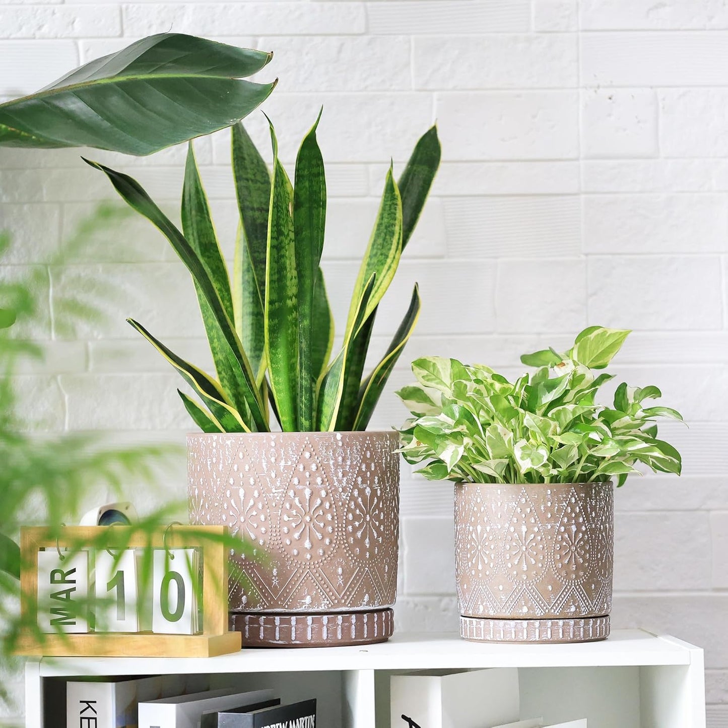 8 Inch + 6 Inch Plant Pot with Drainage Holes and Saucers, Indoor Ceramic Planter for Plants Succulent Orchid Flower Pots