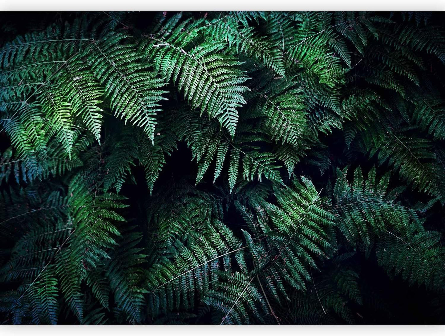 artgeist Premium Wall Mural 3D Effect 98x69 in - XXL Non-Woven Wallpaper Fleece Wall Decor Photo Print Picture Image Design Home Tropical Leaves b-C-0564-a-a