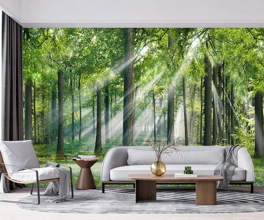 -Sunshine Forest Living Room Wallpaper XT24 M 140" x 91"