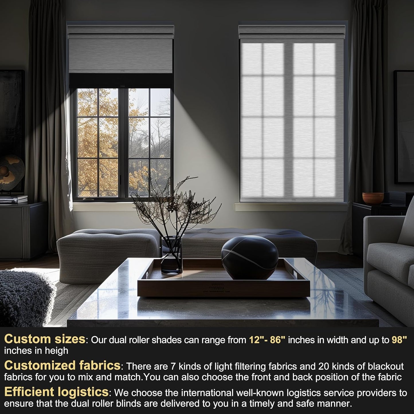 BERISSA Cordless Dual Roller Shades With Cassette Valance, Blackout and Light Filtering, Day and Night for Home Office Door - Linen Black and White, 63 W x 44" H