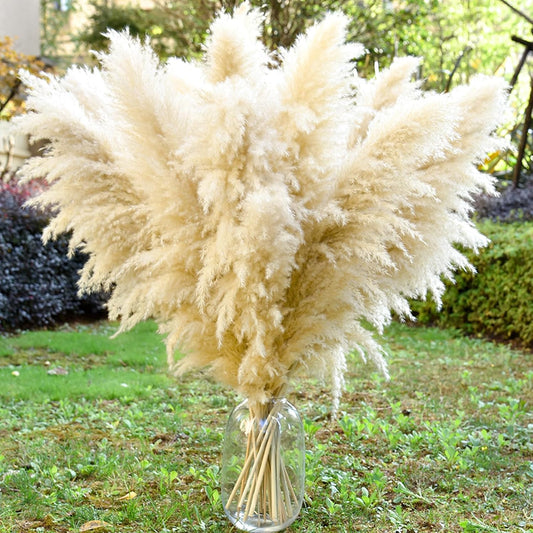 40" 11 PCS Dried Pampas Grass Decor Tall,Large Natural Beige pompas Grass,Tall Pampas Grass for Floor Vase,Wedding,Party,Farmhouse,Boho Home Decor,and Creating a Bohemian Ambiance