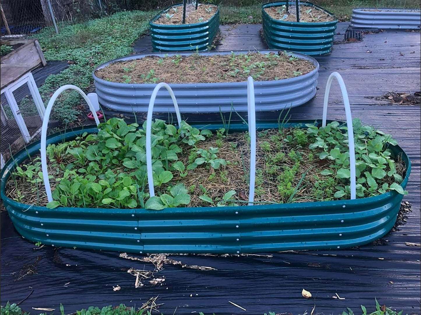 2 Pack 8x3x1FT Galvanized Raised Garden Bed Large Metal Planter Box Kit Elevated Raised Garden Planters for Outdoor Plants, Green