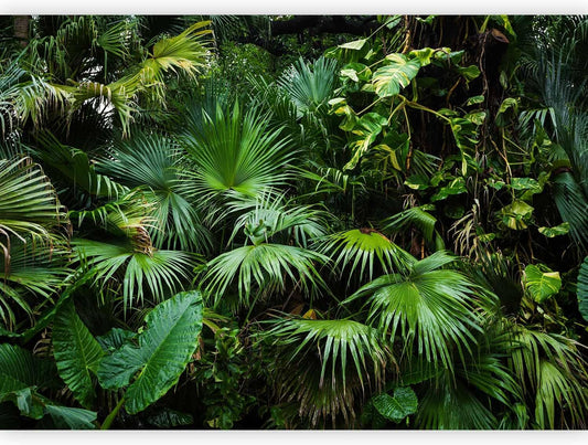 artgeist Wall Mural Tropical 98"x69" XXL Peel and Stick Self-Adhesive Wallpaper Removable Large Sticker Foil Wall Decor Print Picture Image Design