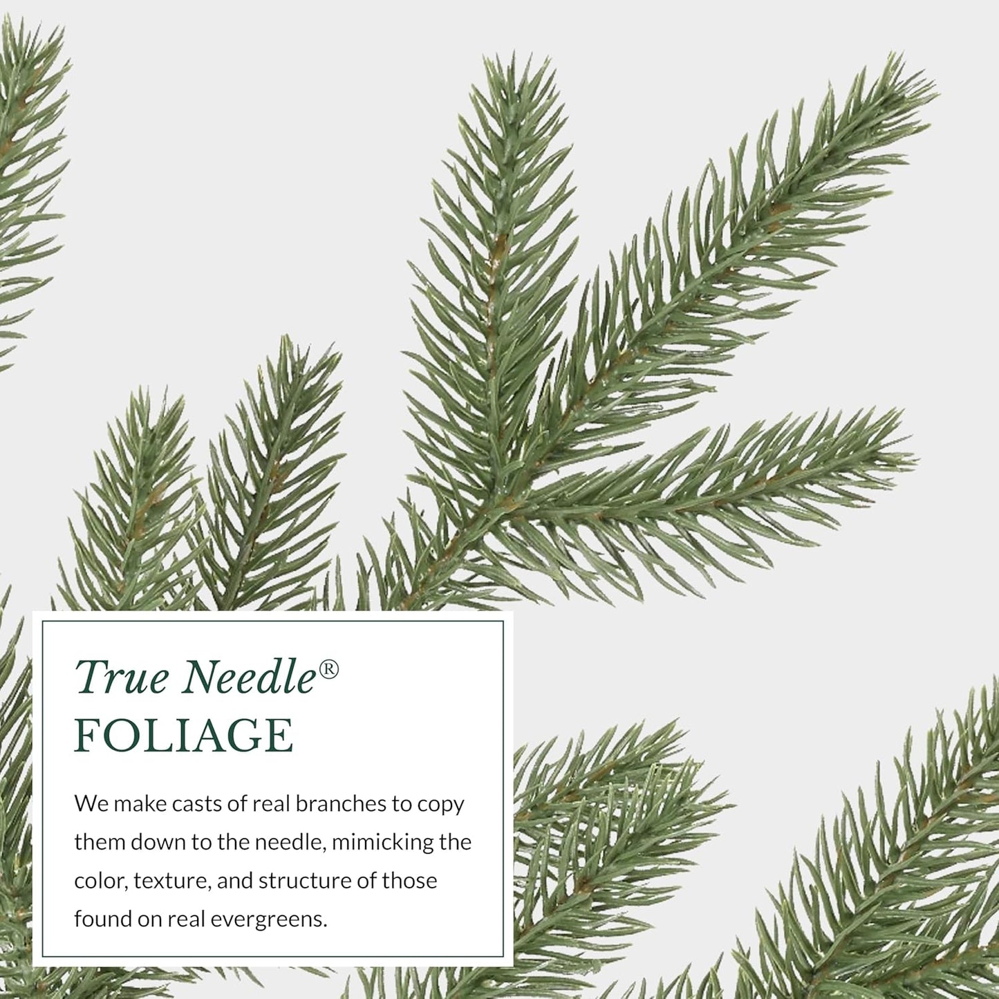 Balsam Hill 7.5ft Unlit Stratford Spruce - Slim Artificial Christmas Tree with True Needle Foliage & Premium Stand for Small Spaces