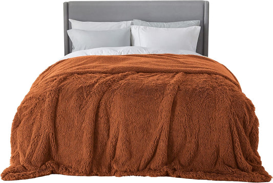 Bedsure GentleSoft Fluffy Burnt Orange King Size Blanket for Bed, Thick Soft Sherpa Faux Fur Fleece Bedding Fuzzy Plush Winter Warm Heavy Large King Blanket, Cozy Orange Gifts for Men Women, 108x90